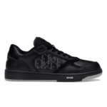 Dior B27 Low DO010