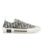 Dior B23 Low Top DO002