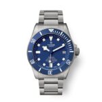 Tudor Pelagos TD005