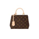 Handbag Louis Vuitton Cluny Mini Monogram LVW013