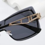 Sunglasses Louis Vuitton LVW066 - Image 8