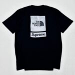 T-shirt Supreme x The North Face SP082